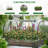 Galvanized Raised Garden Bed With PVC Mini Greenhouse Cover, 72.8"X37.4"X47.2" Bottomless Metal Planter With Roll-Up Window