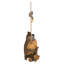 Statue pivotant howie the hoot hibou
