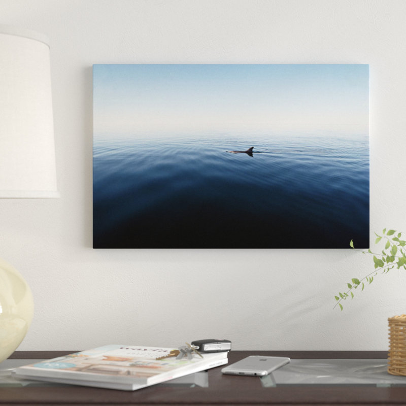 " Bottlenose Dolphin Surfacing, Shark Bay, Australia " by Flip Nicklin, 18" H x 26" W x 1.5" D, No Mat, Wrapped Canvas
