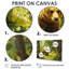 Ours dans la forêt du printemps I - art mural ours-388498846-388498847-388498822
