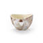 Jake Decorative Bowl-1208097673