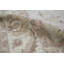 Ziegler Wool Oriental Area Rug