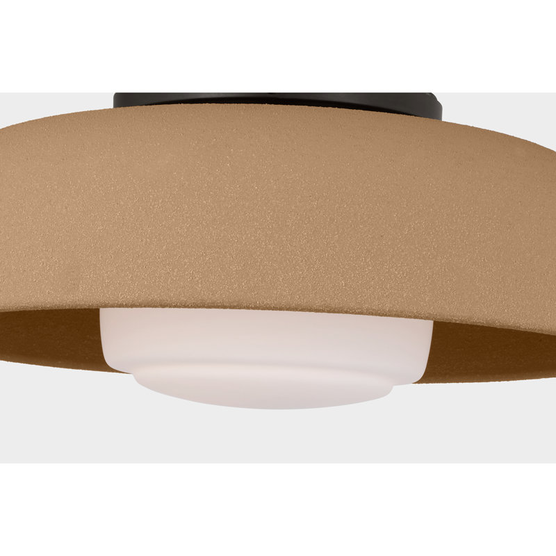 1 - Light Flush Mount, Aged Iron, Toast