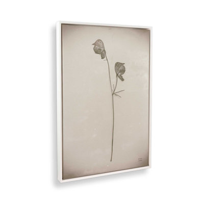 «Wildflower Journal Vintage IV» par Nathan Larson, reproduction d'art sur toile