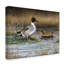 « pintail ducks », reproduction de peinture à l’acrylique sur toile tendue-33537543