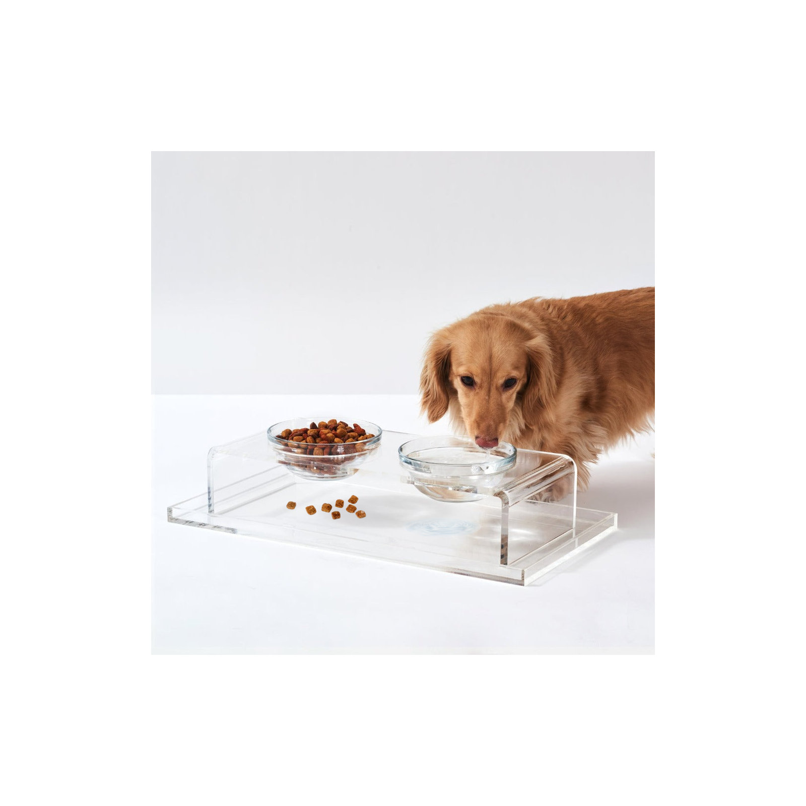 Clear Overflow Feeding Tray, Medium