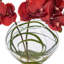 Arrangement floral orchidée en pot