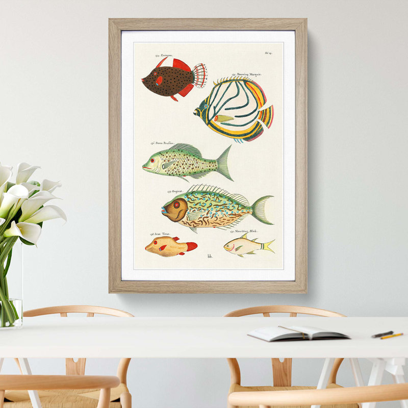 East Indies Fish Illustrations Fol. 23 by Louis Renard - Picture Frame Painting Print, Oak Framed, 65cm H x 48cm W x 2cm D