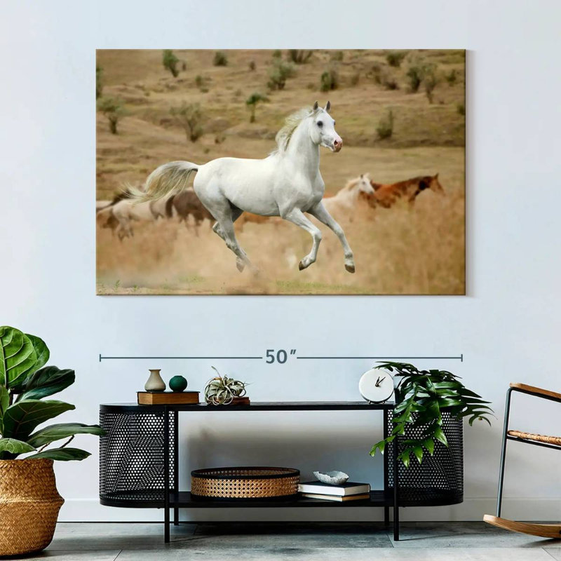 Prized White Stallion, 34" H x 51" W