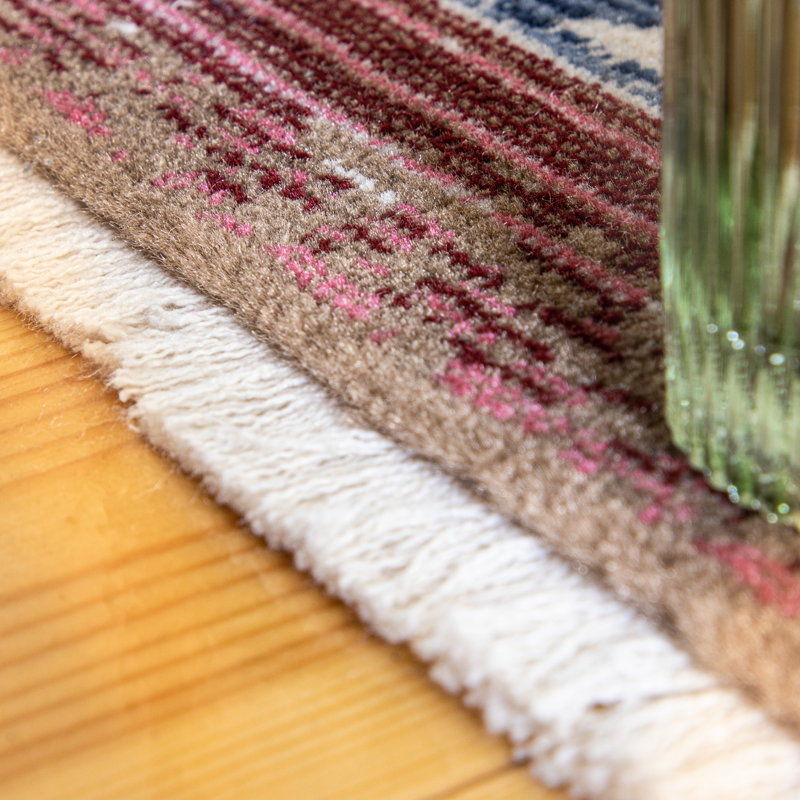 Aliasgar Oriental Area Rug, Rectangular 120 x 170cm