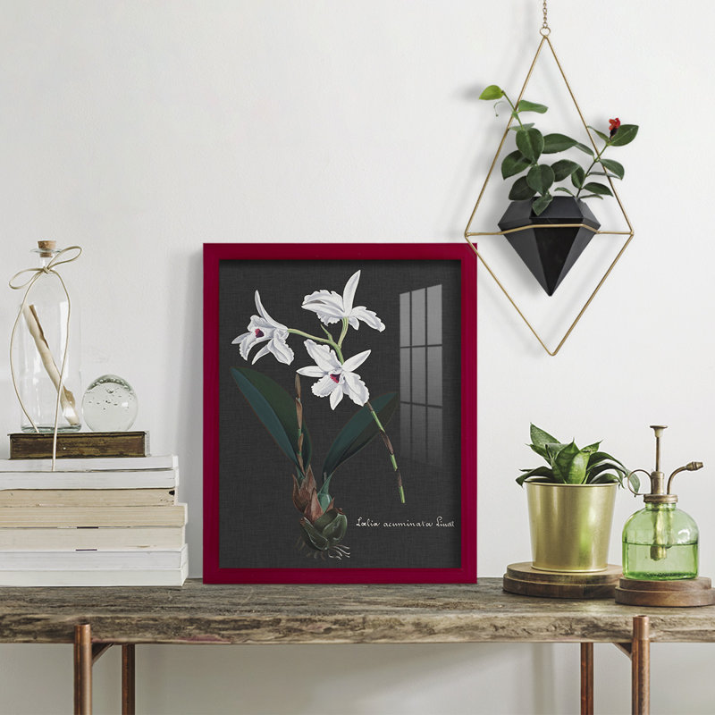 Orchidée sur ardoise V - reproduction de cadre photo simple, Rouge, H 15 po x l 12 po x P 1 po
