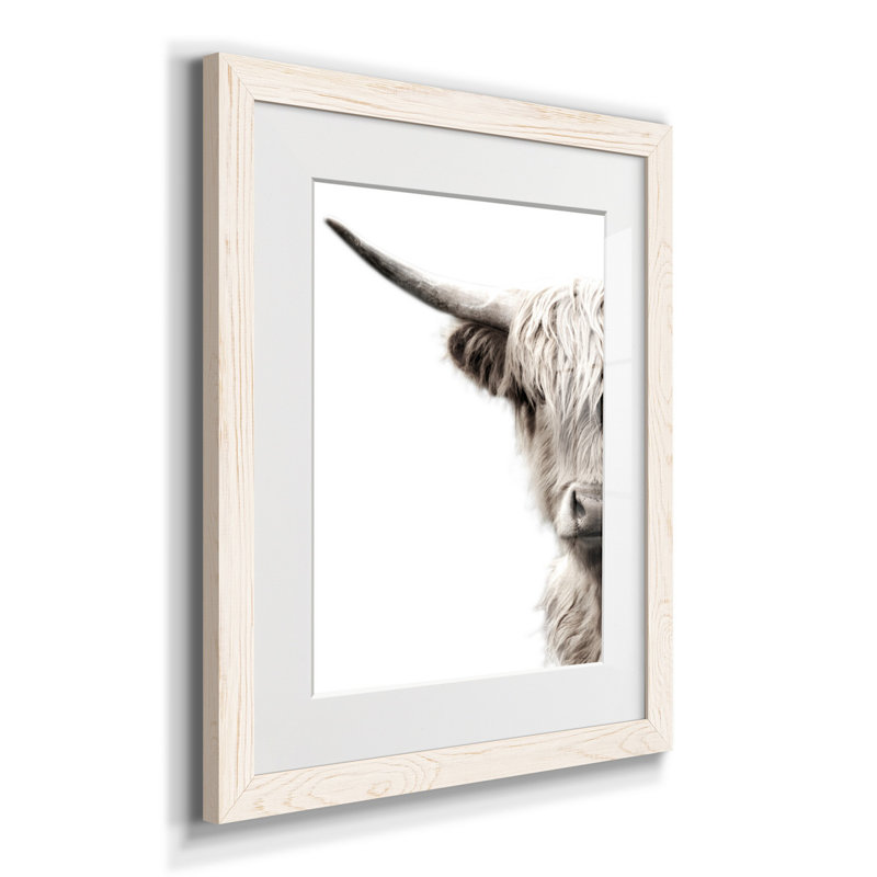 Bétail des Highlands - reproduction de photo, Papier encadré blanc, H 20 po x l 17 po x P 1 po, Blanc