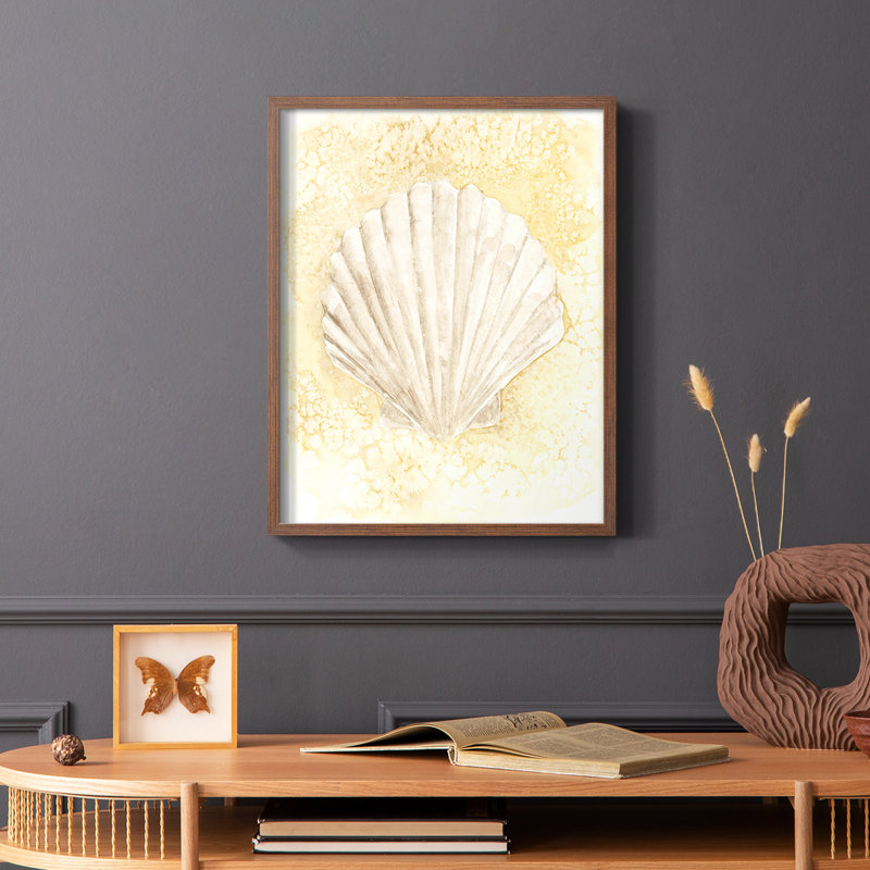 Reproduction encadrée Salty Seashell II - bois massif, Brun, H 14 po x l 11 po