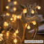 Brittley Indoor / Outdoor 100 - Bulb 1500 cm Battery Powered and Plug-in LED Fairy String Light