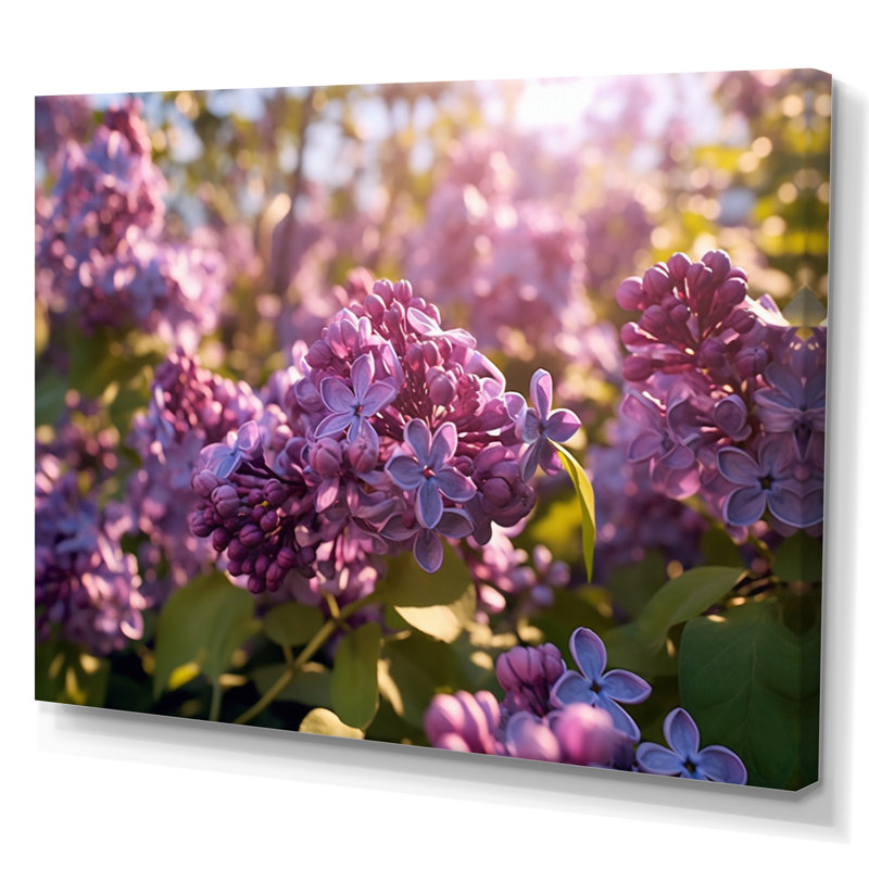 «Lilac mauve», impression sur toile, H 30 po x l 40 po x P 1,5 po, Toile tendue