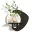 Décoration murale moderne minimaliste de plantes grès vertes hydroponique-285459909