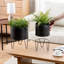 Indoor Black Metal Elevated Planter