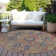Washable Oriental Indoor / Outdoor Rug