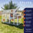 15.8 Square Feet with Chicken Run