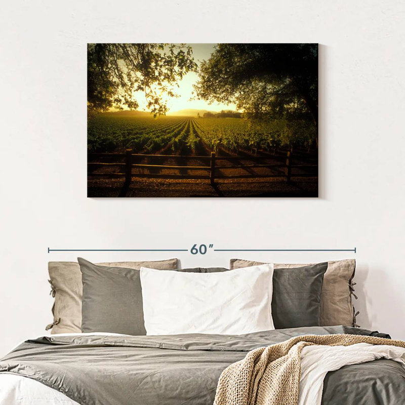 Alvord Oakville Vineyard, H 30 po x l 45 po
