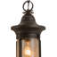 Rustic Lodge 1 - Light Pendant