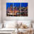 Rorry San Francisco Night Lights-108141335