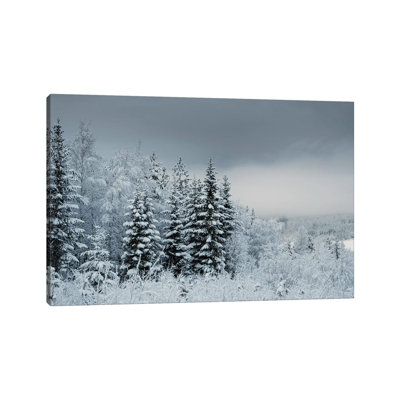 " Snowy Sweden " by Andreas Stridsberg