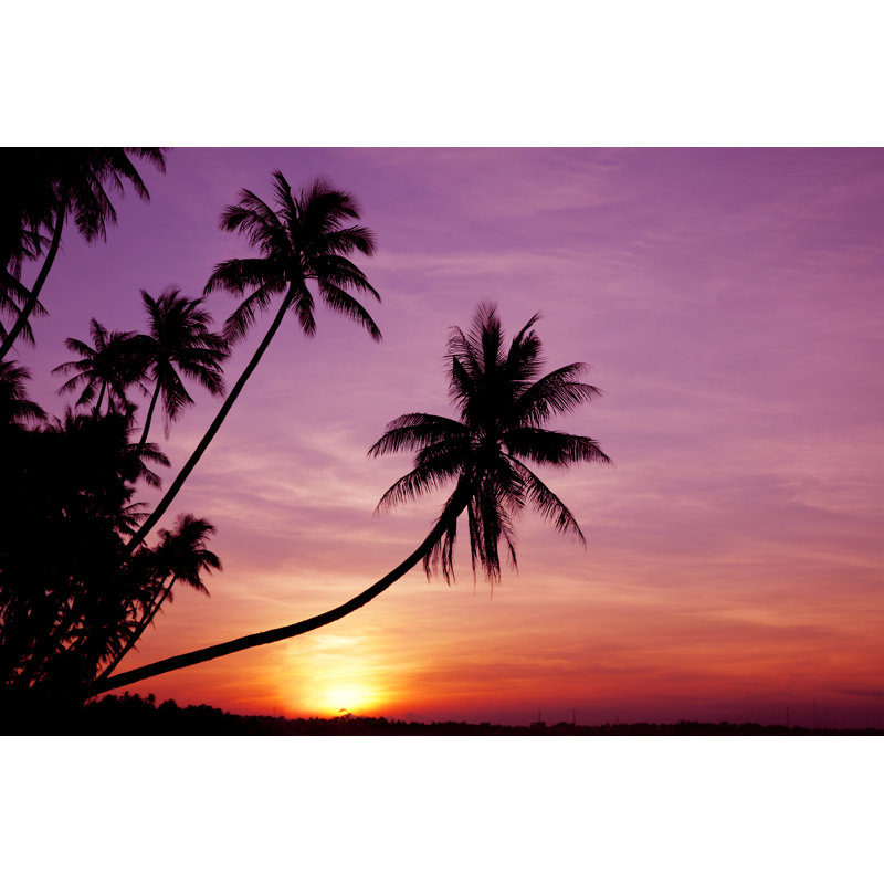 Palms At Sunrise by Spanishalex - Wrapped Canvas Print, 30cm H x 46cm W x 3.8cm D