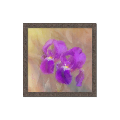 Iris peint par Hal Halli. Impression sur papier - Montée et encadrée avec de l'acrylique transparent