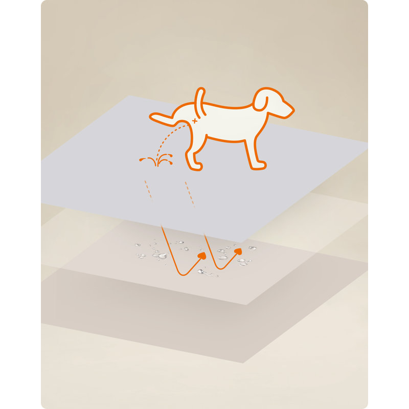 Couvertures pour chien