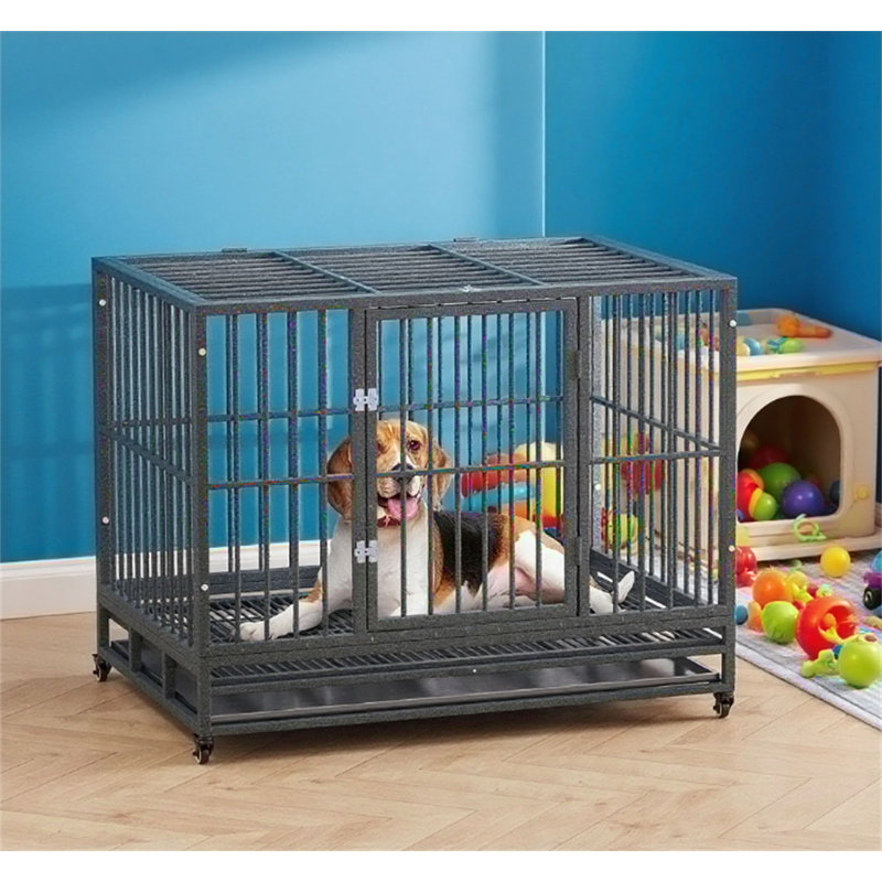 Cage pour chien en métal cage cage