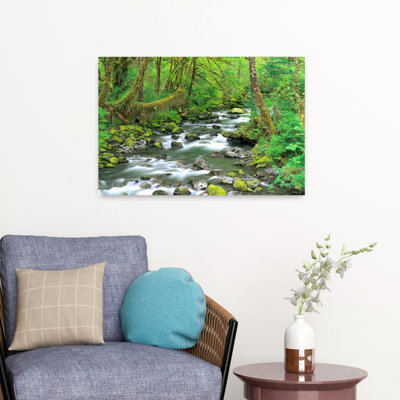 Usa Washington Olympic National Park Stream Of Water Flowing Through Forest Abstract Contemporary Fern Moss Forest Nature Art
