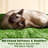 Siegfried Multi-Level Cat Tree-1642784910