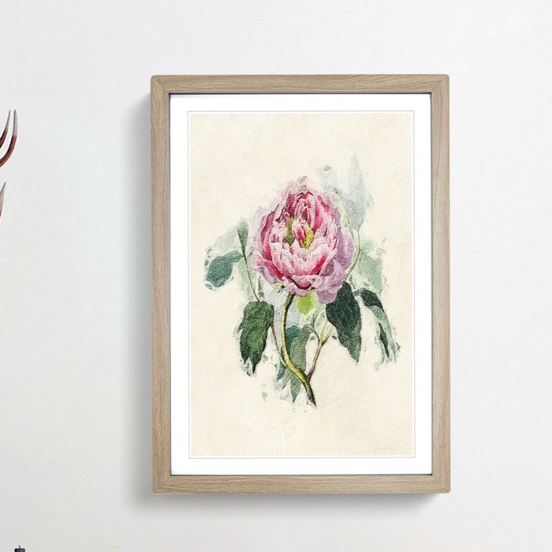 Illustration of a Pink Peony - Picture Frame Painting Print on MDF, Oak Framed, 65cm H x 48cm W x 2cm D