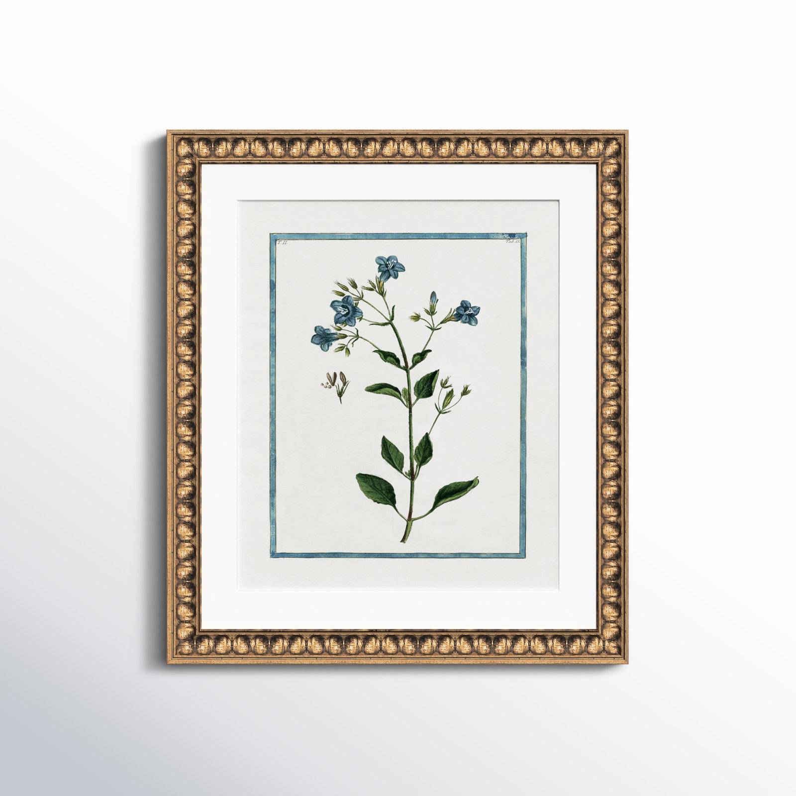Birch Lane Botanical II - Framed Art