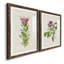 Pretty Pink Botanicals IV - Ensemble de 2 reproductions de cadres photo-1406763777-1406763780
