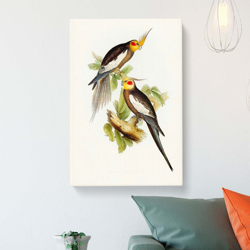 Cockatoo Parakeets by Elizabeth Gould - Wrapped Canvas, 60cm H x 40cm W x 3cm D