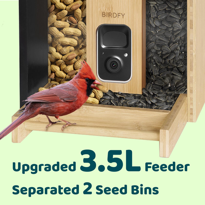 Birdfy Smart Bird Feeder Camera Solar Powered, Auto Capture Birds & Notify in Time, Bamboo Wood Bird Feeder Camera (Lite)