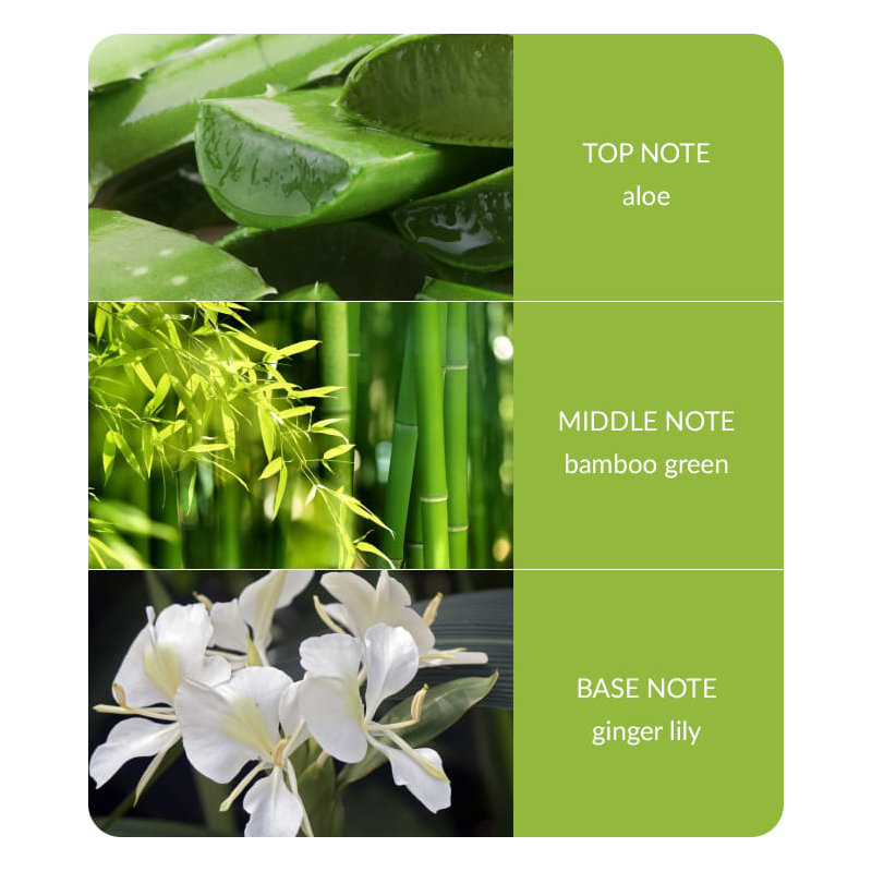 Bamboo Everyday Plant / Floral Room Sprays