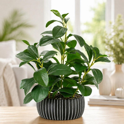 Plantes artificielles décor verdure plantes grasses artificielles en pot avec plante en argile noire rustique