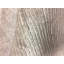 Simplicity Chic Solid Area Rug in Beige-76074490
