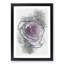 The Pale Purple Rose - Picture Frame Painting Print-56855384-56855385