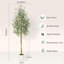 Plant-631515798