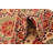 Oldham Cream Rug