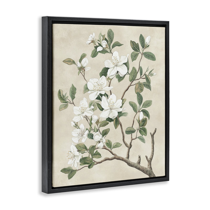 Cadre flottant rétro avec arbre fleuri, design par Petal Prints Design, H 31 po x l 25 po, Cadre flottant noir de jais