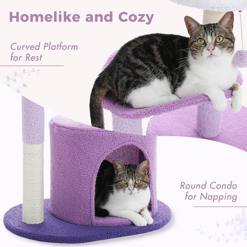Daryla 16.5'' H Cat Tree