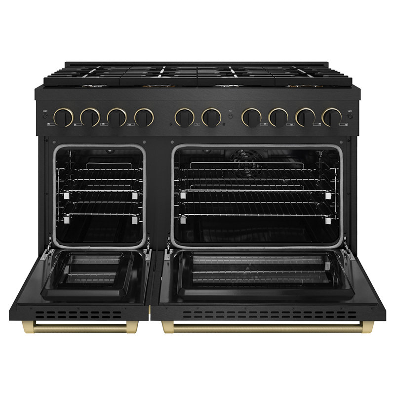 ZLINE Designer 48 in. Paramount Dual Fuel Range in Black Satin Steel with Black and Bronze Accents