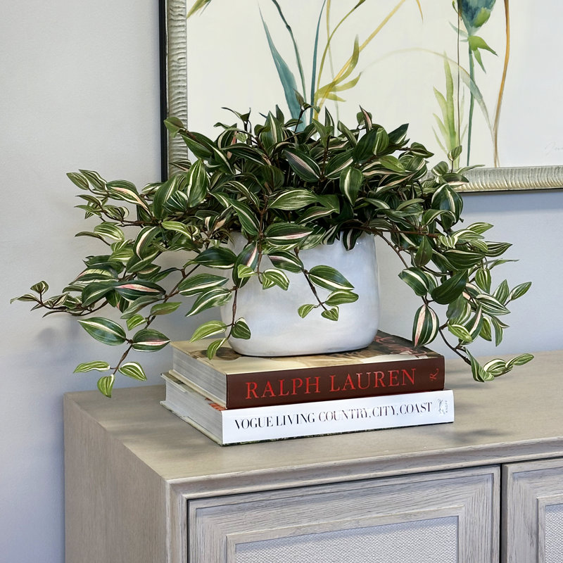 Tradescantia Zebrina Arranged In Ceramic Vase, Green, 14"H x 26"W x 17"D