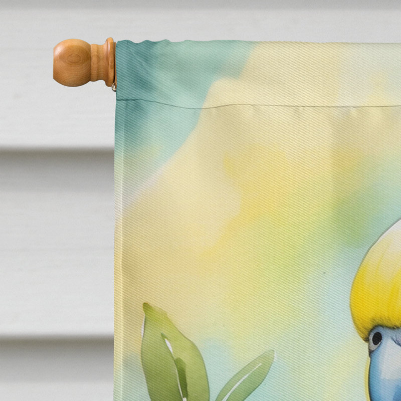 House Flag, Budgerigar