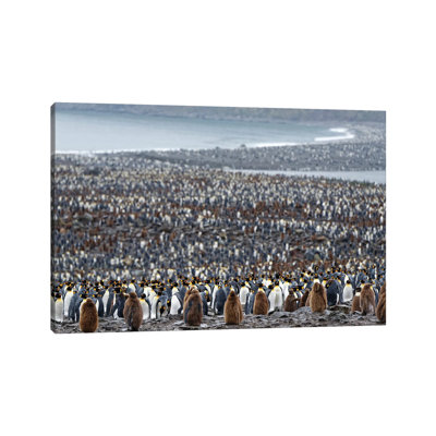 Many by Kahi - Wrapped Canvas Print
